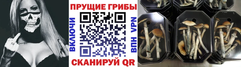 это телеграм  Батайск  Псилоцибиновые грибы MAGIC MUSHROOMS 