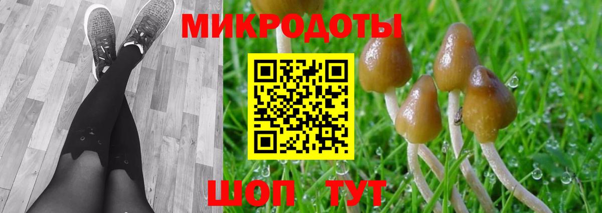 Псилоцибиновые грибы Psilocybine cubensis Батайск