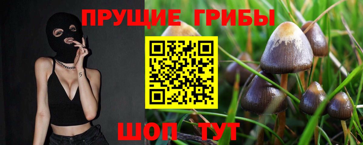 Галлюциногенные грибы Magic Shrooms Батайск