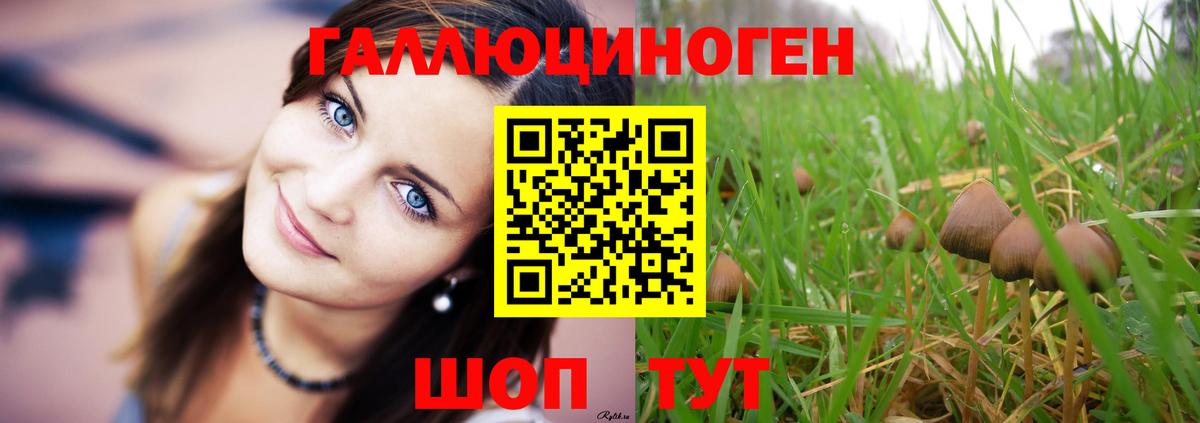 Галлюциногенные грибы Psilocybine cubensis  Вход с VPN  Батайск 